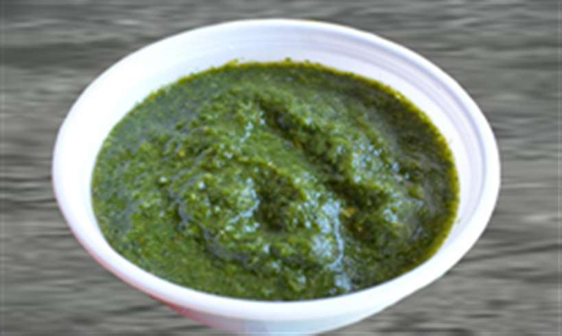 MyDelicious Recipes-Pudina chutney